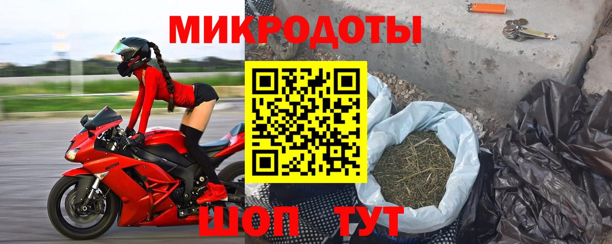 Галлюциногенные грибы Psilocybine cubensis Мценск